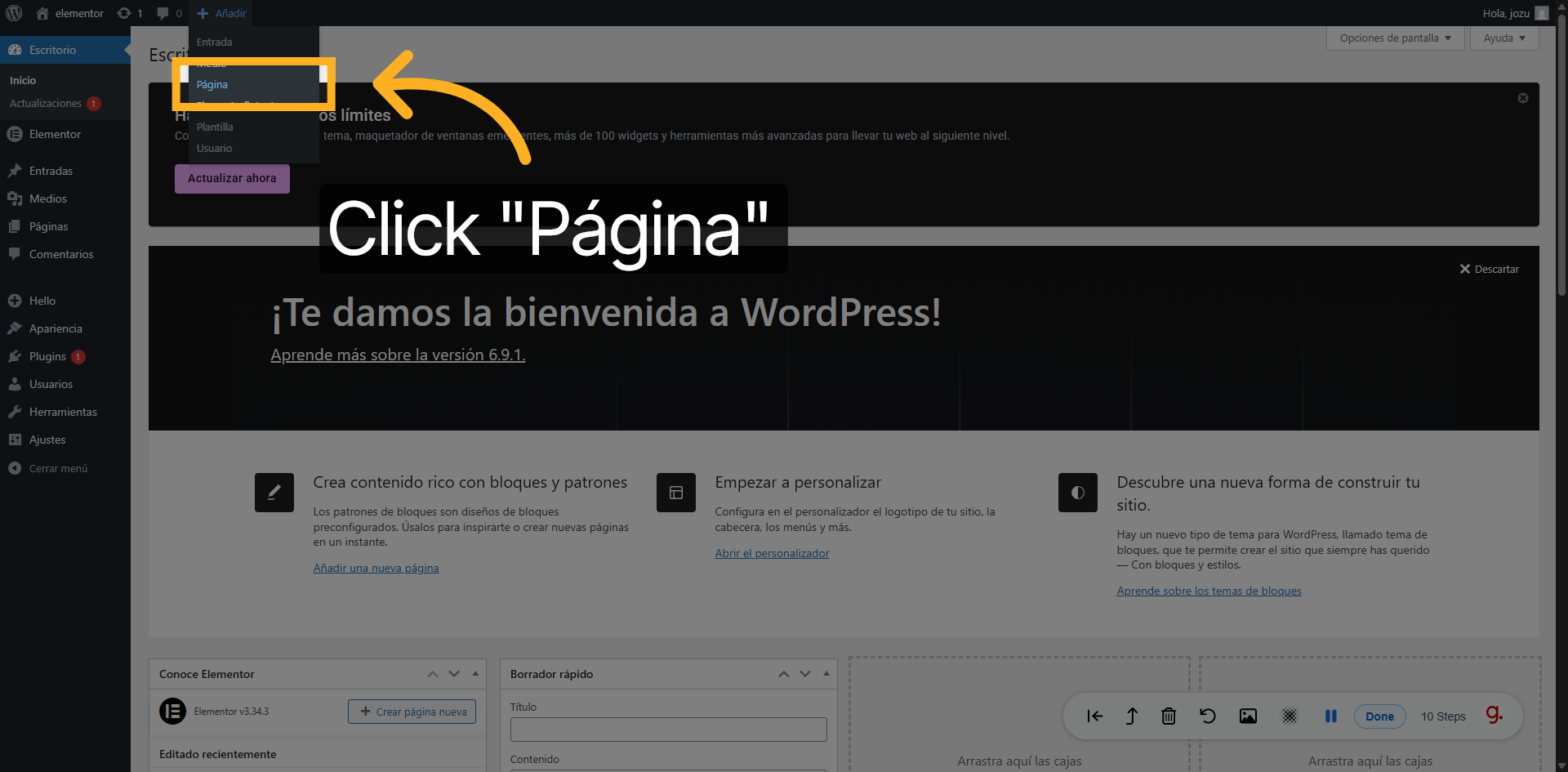 WordPress Pages section